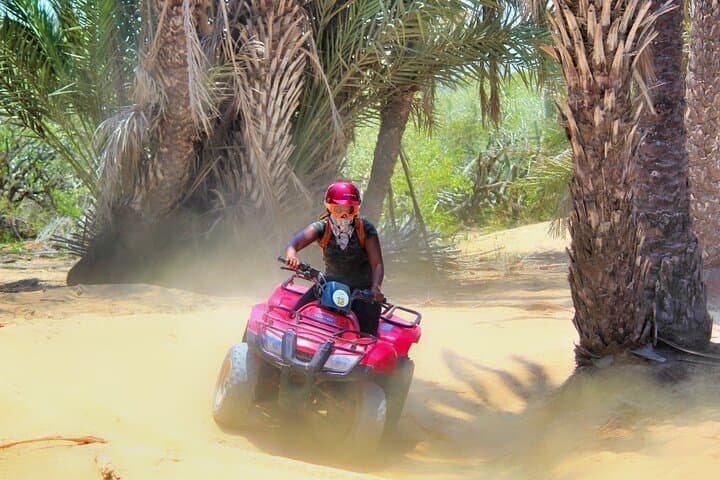 Migriño Beach ATV & Horseback Combo — Baja Desert to Pacific Ride photo 2