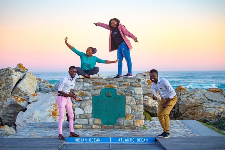 Cape Agulhas Full Day Tour: Penguins, Wine & Southern Tip Adventure
