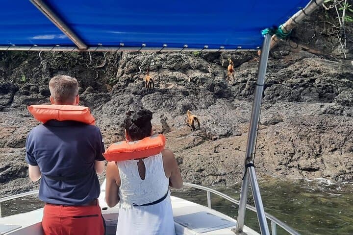 Isla Tortuga Day Adventure from Jacó — Snorkel, Monkeys & Private Beach photo 3