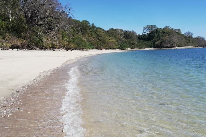 Isla Tortuga Day Adventure from Jacó — Snorkel, Monkeys & Private Beach photo 5