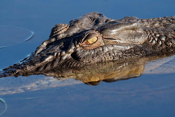 Darwin to Kakadu Day Trip by Air with Yellow Water Cruise