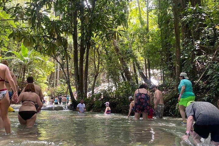 Dunns River Falls Private Day Tour — Climb Jamaica’s Cascading Staircase photo 4