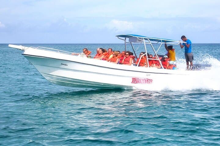 Saona Island Full-Day Catamaran & Speedboat Excursion from Punta Cana photo 5