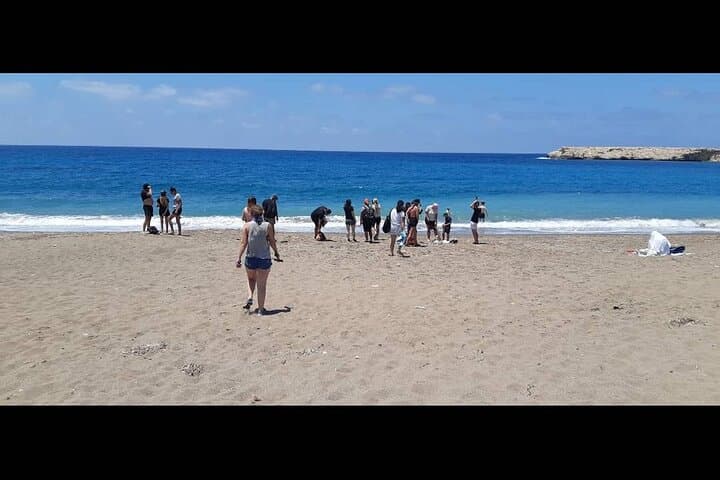 Akamas Lara Bay Quad & Buggy Adventure: Half-Day Off-Road Tour and Swim photo 5