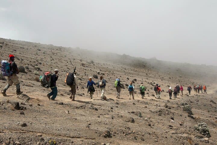 Kilimanjaro Northern Circuit 9-Day Climb: Best Route for Acclimatization and Higher Summit Success photo 4