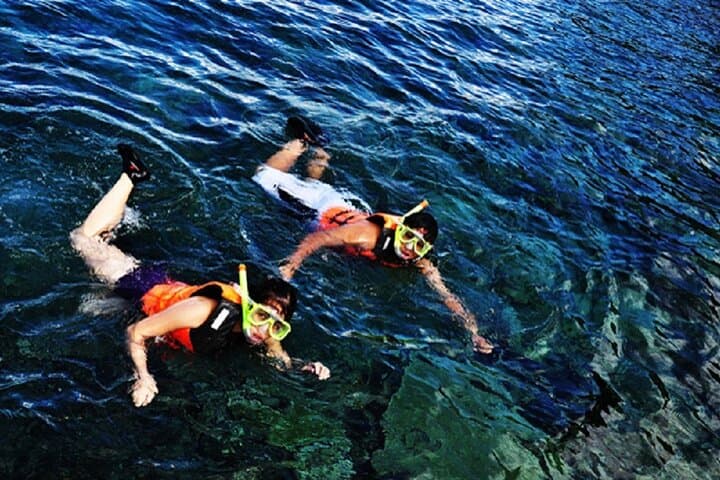 Snorkel Apo Island: Dumaguete's Marine Sanctuary Day Tour