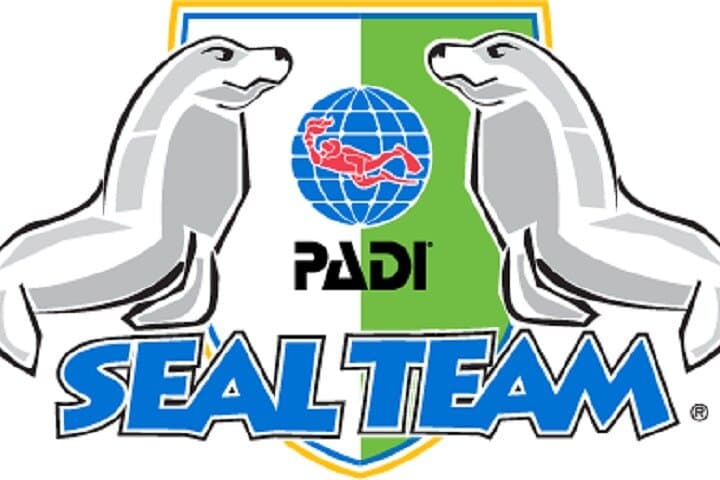 Gran Canaria Kids Underwater Adventure: PADI Bubblemaker Pool Session for Ages 8–9 photo 3