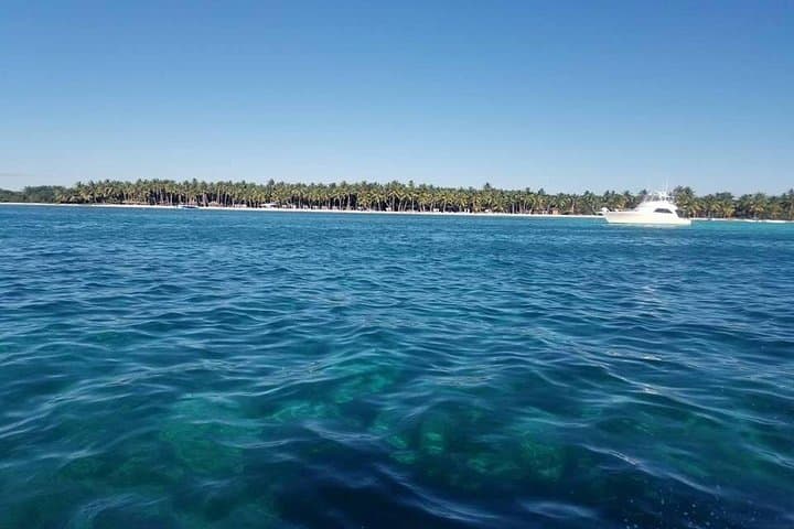 Saona Island Day Trip from Bayahibe — Lobster Lunch, Natural Pool & Snorkel photo 1