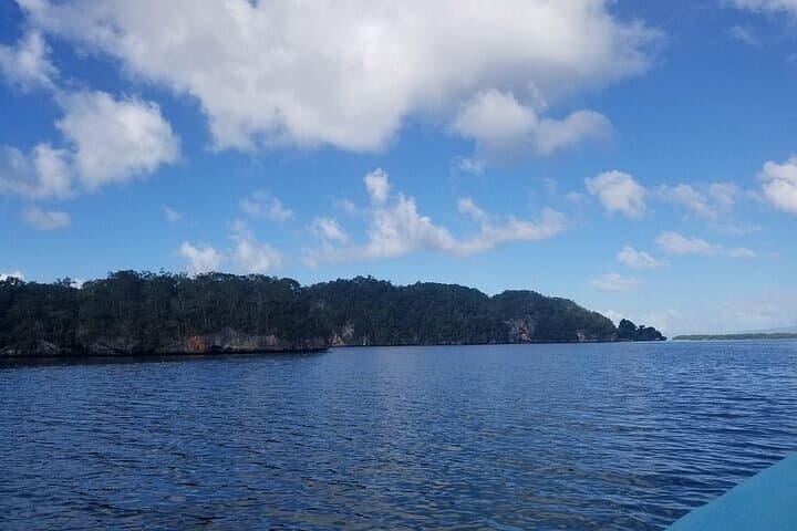 Full-Day Boat Tour of Los Haitises National Park from Punta Cana