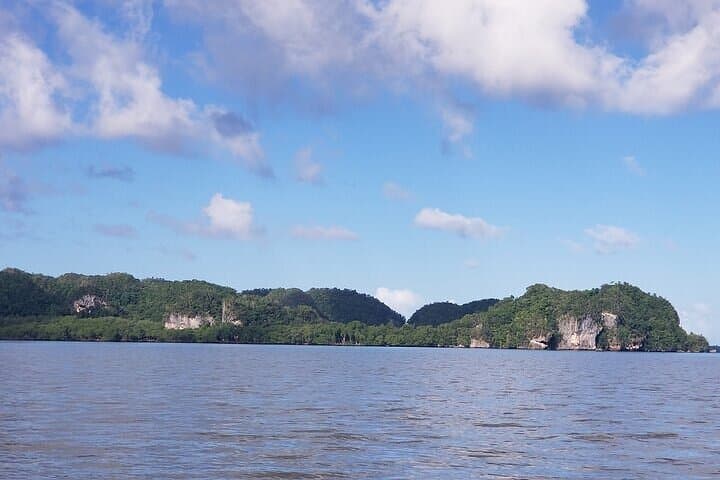 Full-Day Boat Tour of Los Haitises National Park from Punta Cana photo 2