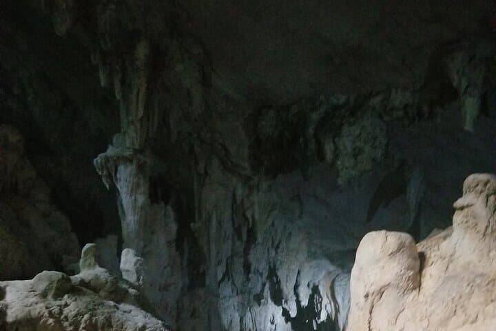 Full-Day Boat Tour of Los Haitises National Park from Punta Cana photo 3