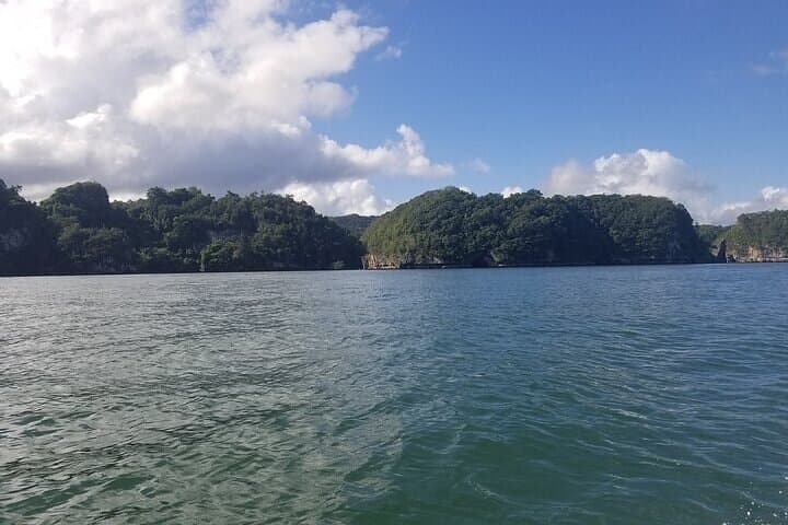 Full-Day Boat Tour of Los Haitises National Park from Punta Cana photo 4