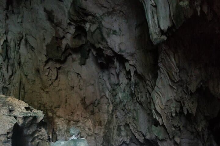 Full-Day Boat Tour of Los Haitises National Park from Punta Cana photo 5