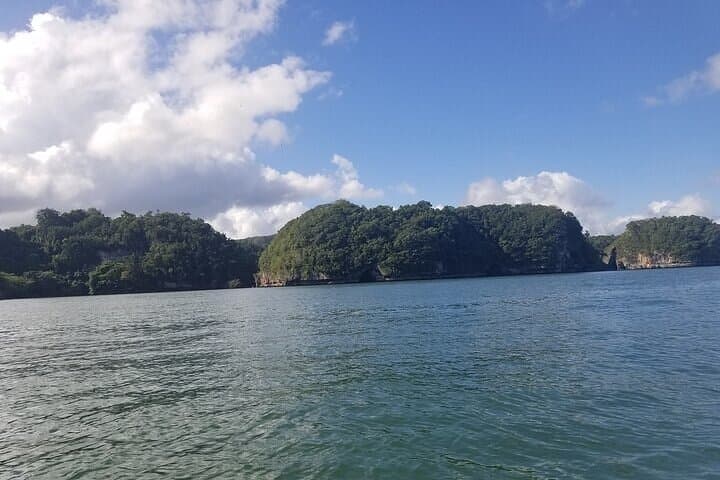 Full-Day Boat Tour of Los Haitises National Park from Punta Cana photo 6