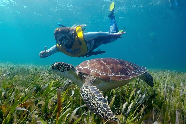 Cancun Snorkeling Adventure: MUSA, Reefs, Sea Turtles & Shipwrecks photo 2