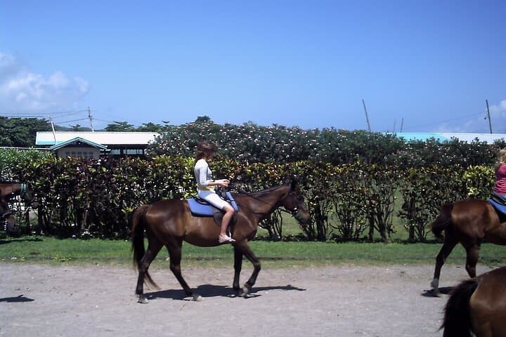Full-Day Horseback, Blue Hole & Dunn's River Adventure from Montego Bay photo 3