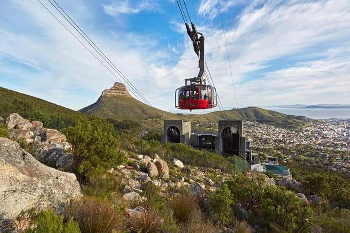 Cape Peninsula & Table Mountain: Full-Day Small-Group Scenic Drive from Cape Town photo 2