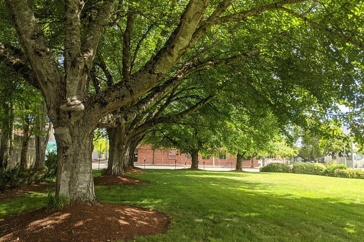 Corvallis Scavenger Hunt: Self-Guided Downtown Walking Tour and Game photo 6