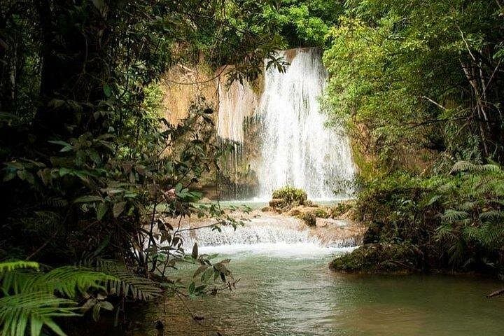 Samana Full-Day from Bayahibe — Cayo Bacardí, El Limón & Whale-Spotting photo 5