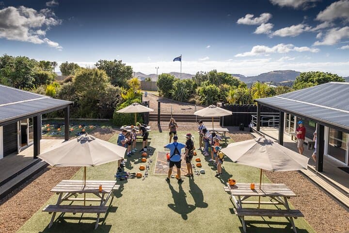 Waiheke Island Zipline and Native Forest Walk — Half-Day Adventure from Auckland photo 3