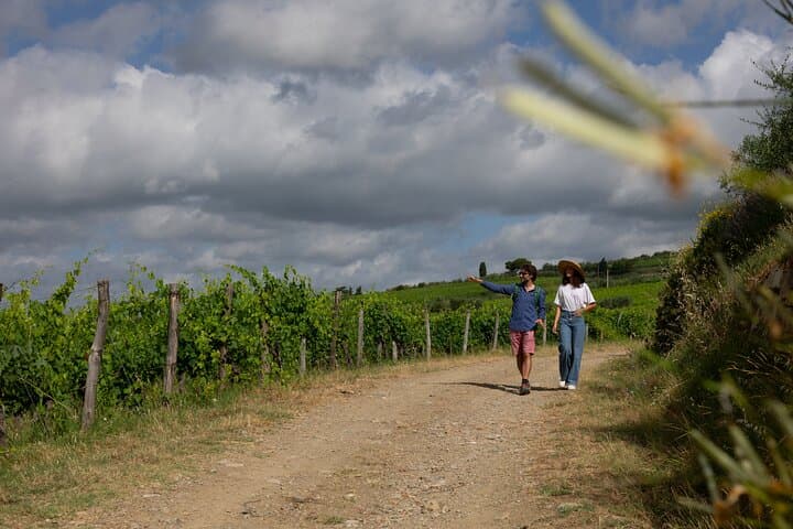 Chianti Classico Hiking and Organic Wine Tasting: 3 Wineries & Lunch photo 3