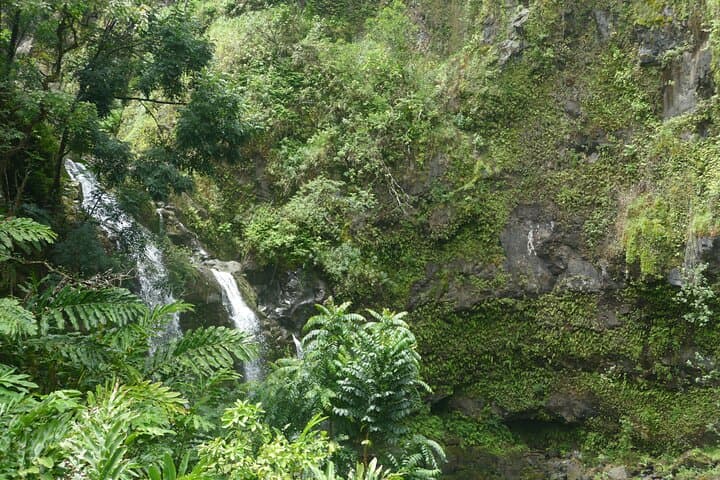Private Road to Hana Tour: Personalized Drive Along East Maui's Wild Coast photo 5