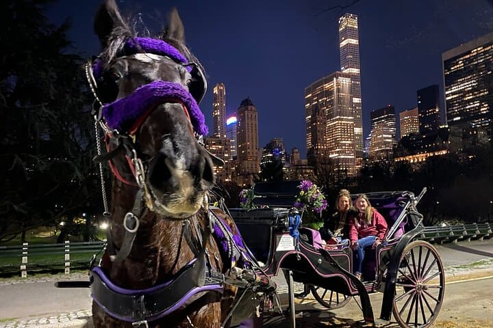 Central Park & Rockefeller Center Private Horse Carriage Tour — Private NYC Horse Carriage Experience photo 2