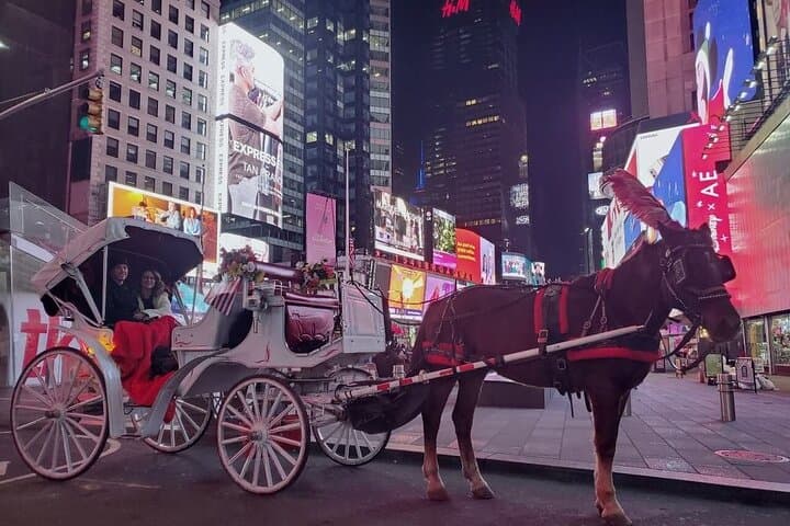 Central Park & Rockefeller Center Private Horse Carriage Tour — Private NYC Horse Carriage Experience