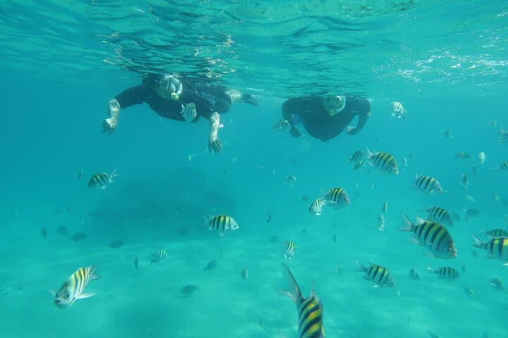 Private Luxury Snorkel Tour in West Palm Beach — Expert Instructor & Wetsuits Included photo 2