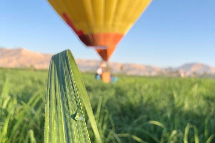 Sunrise Hot Air Balloon Over Luxor: Private Small-Group Flight Above the West Bank photo 3