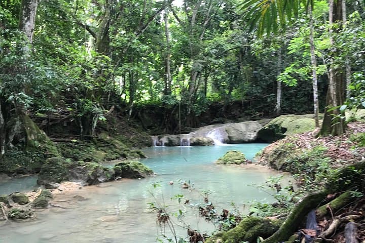 Bob Marley Nine Mile and Blue Hole River: Montego Bay Waterfalls, Culture & Cliffs photo 4