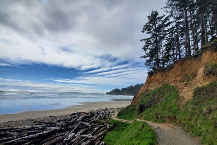 Explore Oregon Coast’s Wild Beauty: Full-Day Guided Tour from Portland photo 3