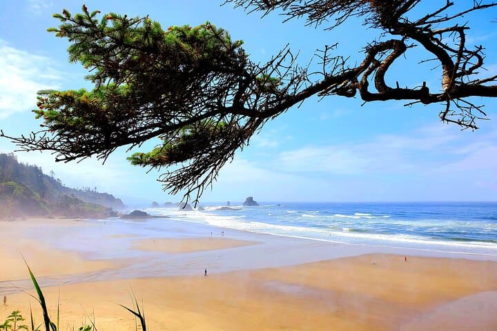 Explore Oregon Coast’s Wild Beauty: Full-Day Guided Tour from Portland photo 6