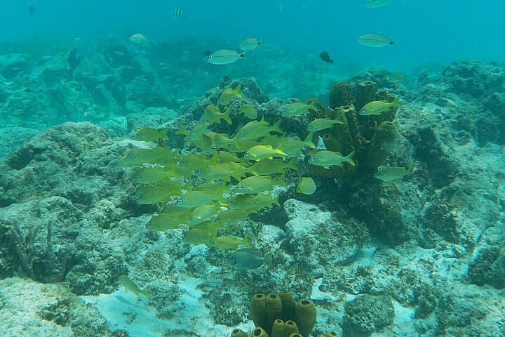 Private Custom Snorkeling and Cruising in Aruba — Private Yacht Charter photo 2