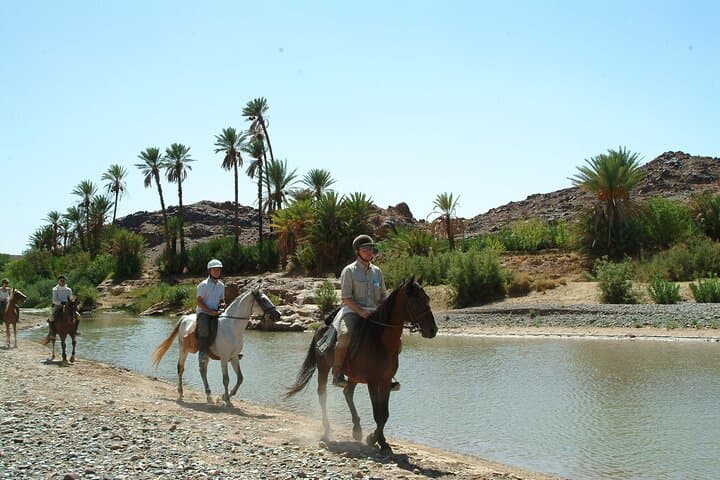 Palmeraie Horse Ride in Marrakesh: Half-Day Guided Equestrian Tour photo 3