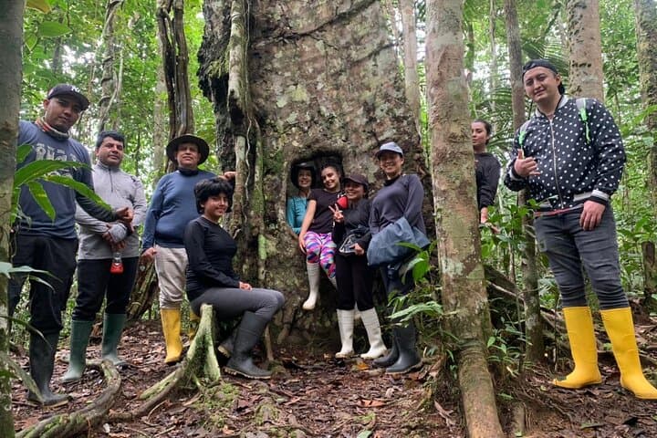 Cuyabeno Dolphin Lodge: 4-Day Amazon Canoe, Hike & Wildlife Experience photo 2