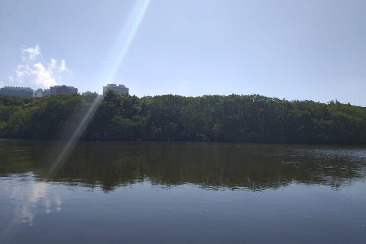 Marapendi Lagoon Half-Day Boat Tour: Wildlife & Conservation Cruise from Rio photo 1