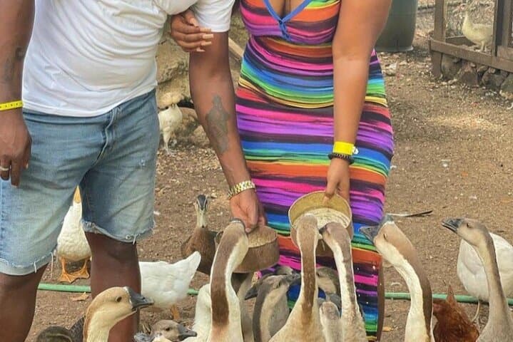 Lethe River Bamboo Rafting & D Boss Farm Mini Zoo — Private Montego Bay Experience