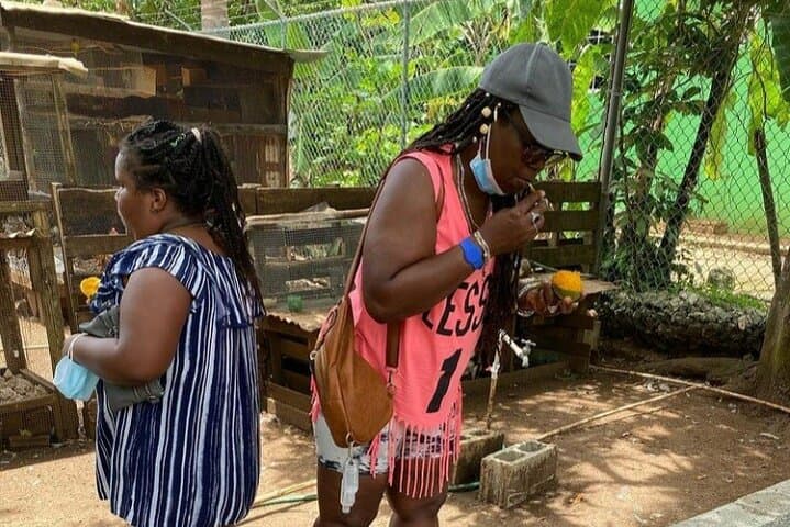 Lethe River Bamboo Rafting & D Boss Farm Mini Zoo — Private Montego Bay Experience photo 2