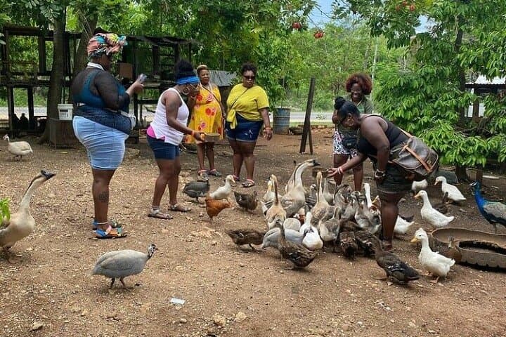 Lethe River Bamboo Rafting & D Boss Farm Mini Zoo — Private Montego Bay Experience photo 4
