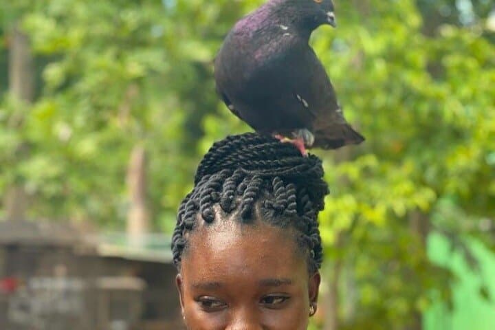 Lethe River Bamboo Rafting & D Boss Farm Mini Zoo — Private Montego Bay Experience photo 5