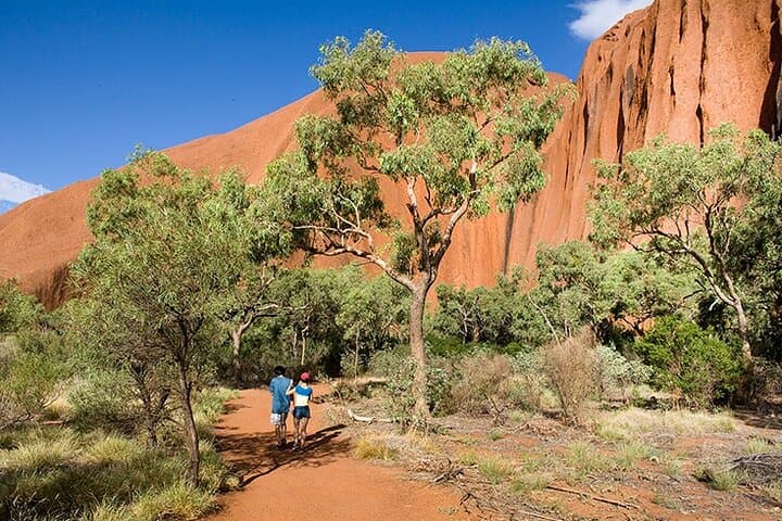 Sunrise Uluru Base Walk: Guided 12km Trek with Outback Breakfast photo 6