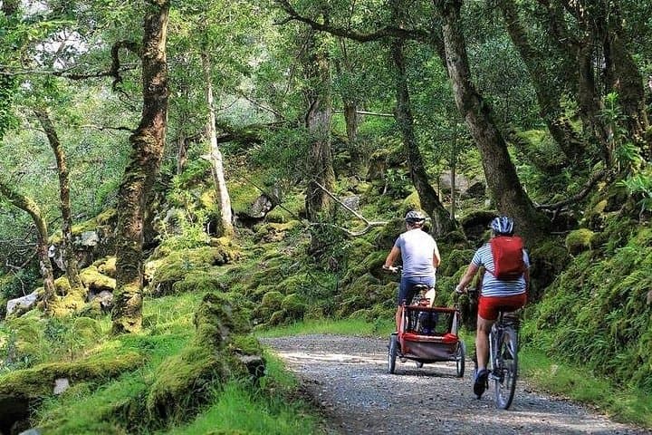 Self-Guided Cycling in Glenveagh National Park — 3-Hour Scenic Ride in Donegal