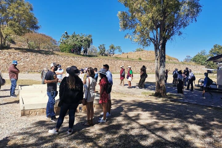 Monte Albán Full-Day Guided Tour in Oaxaca — Archaeology, Crafts & Local Cuisine photo 4
