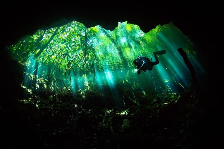Cenote Diving Near Playa del Carmen: Classic 2‑Tank Certified Cave Dives photo 1