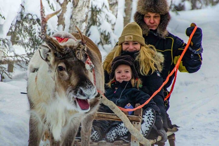 Authentic Reindeer Farm Experience Near Rovaniemi — Meet Lapland Herders photo 5