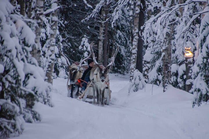 Authentic Reindeer Farm Experience Near Rovaniemi — Meet Lapland Herders photo 3