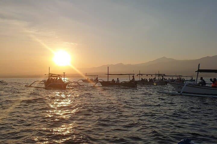Sambangan Waterfall Tour: Dolphin Watching & Snorkeling from Lovina, Northern Bali photo 4