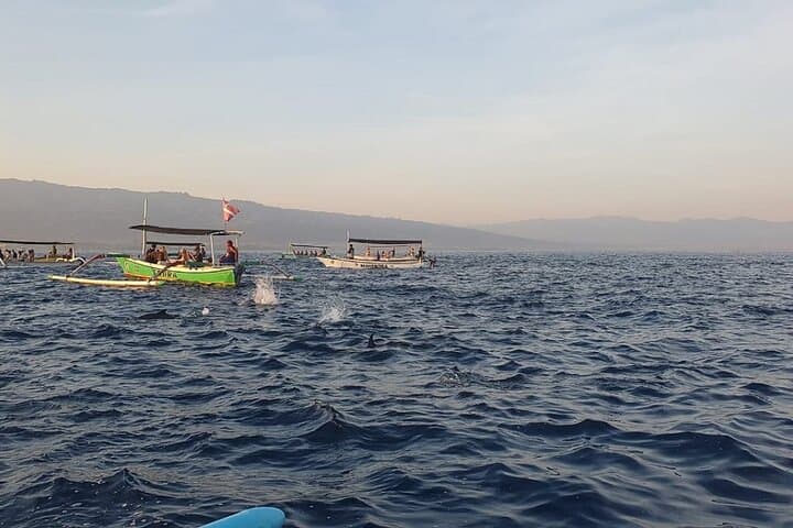 Sambangan Waterfall Tour: Dolphin Watching & Snorkeling from Lovina, Northern Bali photo 5