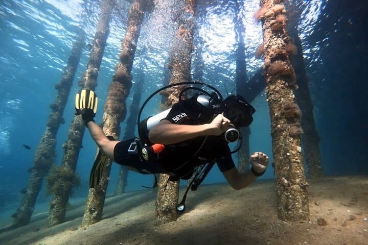 Private Red Sea Diving Experience in Aqaba — Reefs, Wrecks & Underwater Photo photo 2